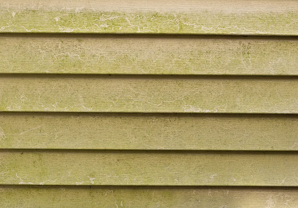 Read more about the article How Eco-Friendly Siding Can Reduce Your Energy Costs in Massachusetts